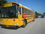 . in the statute that makes is Reckless Driving to pass a school bus. (school bus)