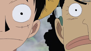 ワンピース アニメ 空島 スカイピア 166話 ルフィ ウソップ | ONE PIECE Episode 166 Skypiea