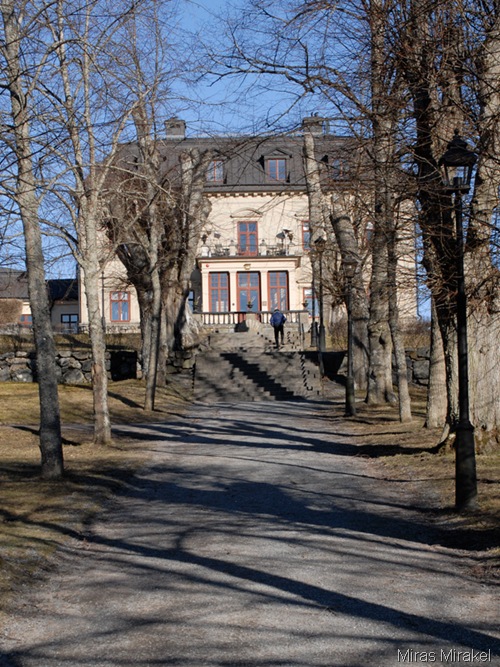 _DSC0266g