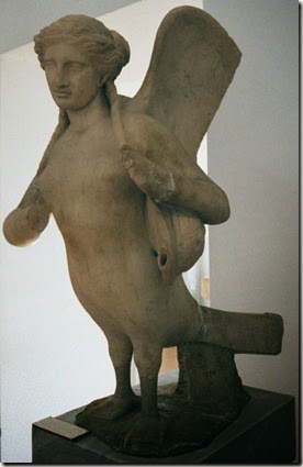 harpy1