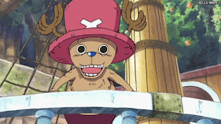 ワンピース アニメ 空島 スカイピア 159話 チョッパー Tony Tony Chopper | ONE PIECE Episode 159 Skypiea