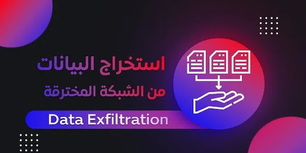 كيف يتم استخراج البيانات من الشبكة المخترقة 