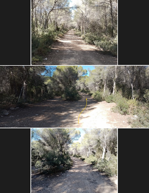 CUNIT - PUIG DE LA MINA - PUIGDETIULA-TURÓ DE L'AVENC - AVENC SANT ANTONI, Camí del Mas Xinxola en direcció al Puigdetiula