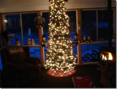 Christmas decorations 2010 002