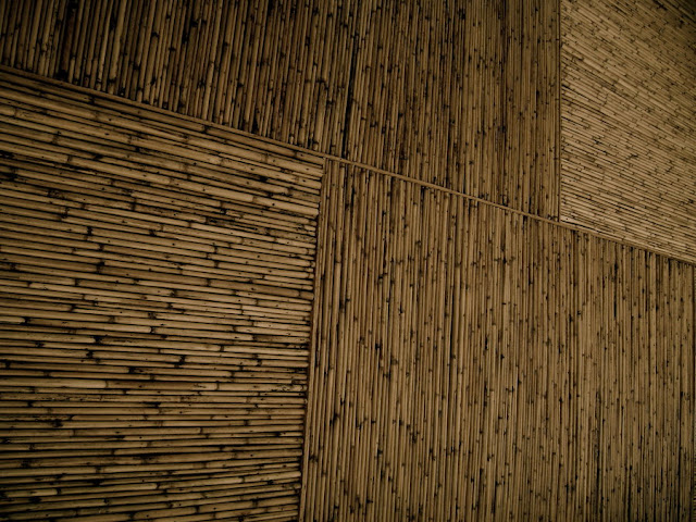 Bamboo Ceiling7