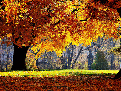 beautiful Autumn Wallpapers