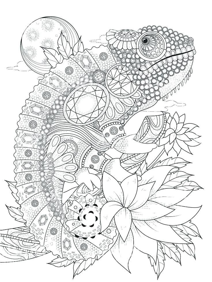 animals coloring page