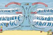 Ketahuilah Ombak Yang Bahaya Saat Berenang Dipantai Juga Cara Menyelamatkan Diri
