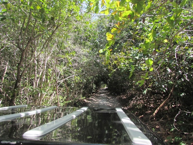 Principais atrações de  Baía Formosa