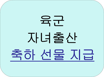 육군 자녀 출산 축하 선물 신청방법/지급 계획 썸네일