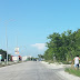 Caballo pasea en transitada avenida de Playa del Carmen