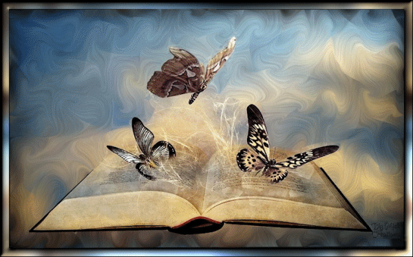 Libro con mariposas