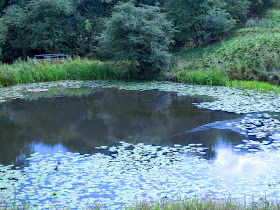 Launde Abbey Lakes