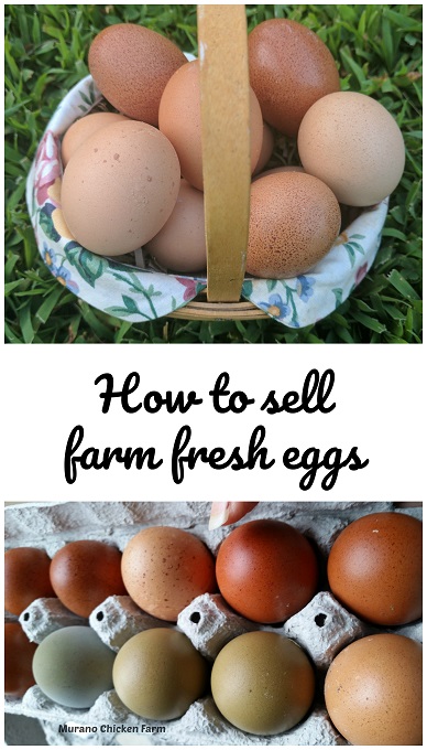 How I clean and store our farm fresh eggs. #farmeggs #fresheggs