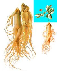 Ginseng-salud