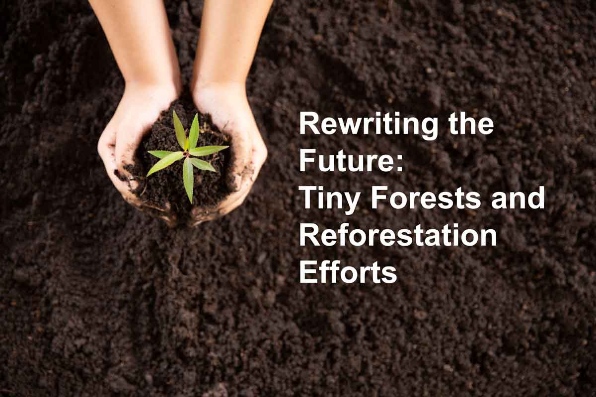 Rewriting the Future: Tiny Forests and Reforestation Efforts
