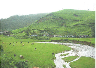 Munnar Valley