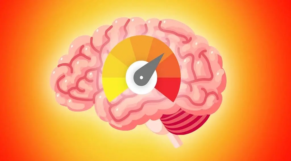 هل تعرف درجة حرارة دماغ الإنسان؟