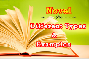 What is a Novel? What are the different types of Novel?