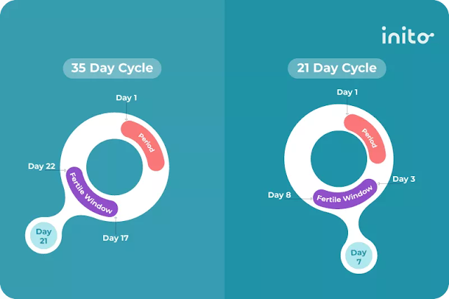 Ovulation