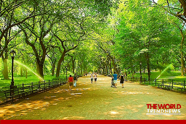 central park, Central Park , Central Park with many attractions - Strawberry Fields, Central Park Zoo, New York City's Atraction