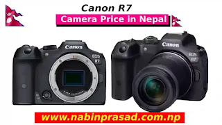 Canon R7 Camera 2024