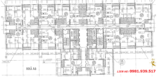 Mặt bằng tòa A6 An Bình City (bấm vào ảnh sẽ rõ hơn)