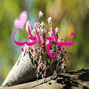 رمزيات صباح الحب واتس اب , صور رمزيات مكتوب عليها صباح الحب انستقرام