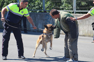 Los perros de la Policía Municipal muestran sus habilidades en Retuerto en una sofocante jornada