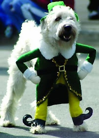 12 Creative and Unusual Dog Costumes (12) 10