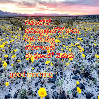 good morning images with telugu quotes free download