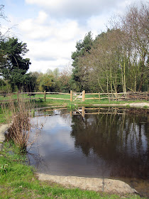 Ray's Pond in Jubilee Country Park on 3 April 2011