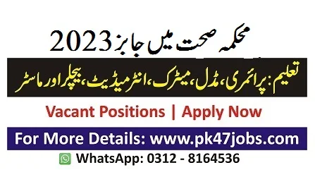 Primary and Secondary Healthcare Department Punjab Jobs 2023  | NTS Online Apply