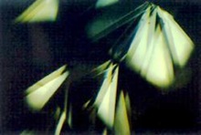clip_image017