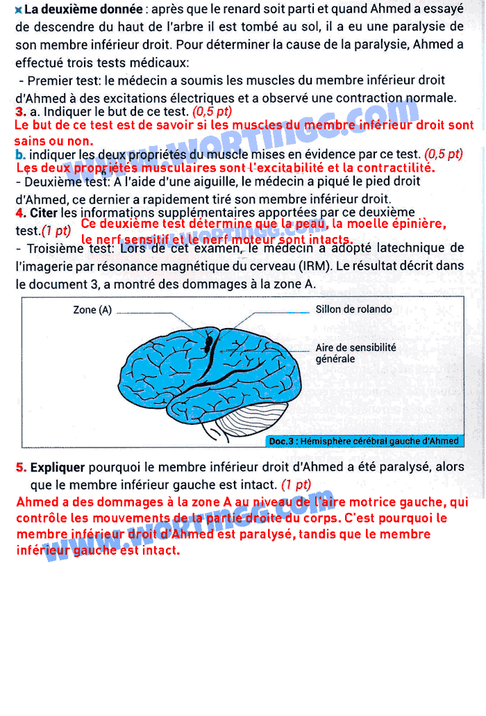 examen régional svt 3ème année collège maroc