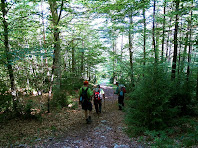 Camí fresc i ombrívol del Torrent del Forat