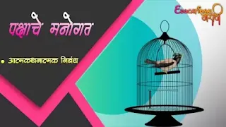 पक्षाची आत्मकथा | Pakshachi aatmakatha (आत्मकथनात्मक निबंध )