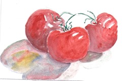 Monday tomatoes
