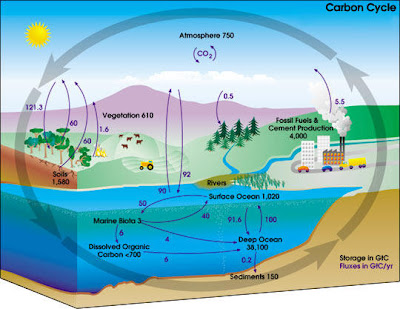 carbon cycle NASA 10 Bukti Kekuasaan Allah Pada Penciptaan Bumi