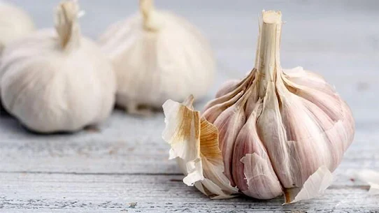 Health Benefits Of garlic