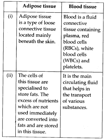 Solutions Class 11 Biology Chapter -7 (Structural Organisation in Animals)