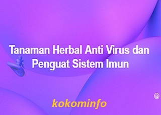 Tanaman Herbal Anti Virus dan Penguat Sistem Imun pada Manusia