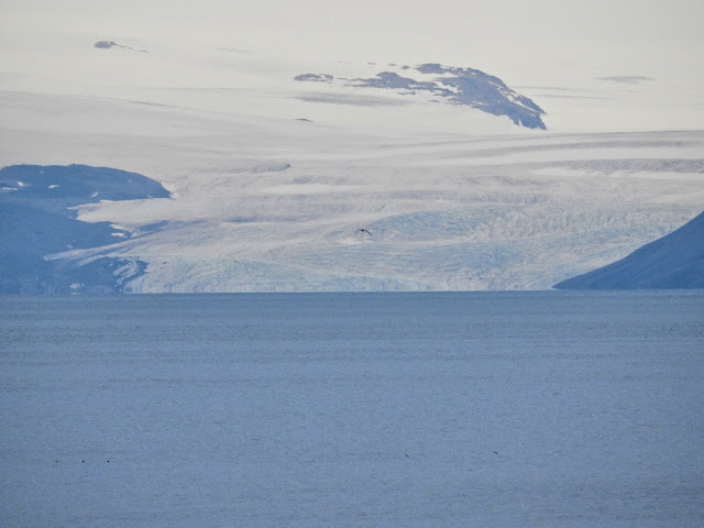 Isfjorden (Svalbard and Jan Mayen)