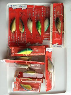 Norman DD 22 crankbaits pictured