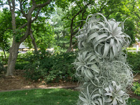 Botanical Gardens St Louis Wedding