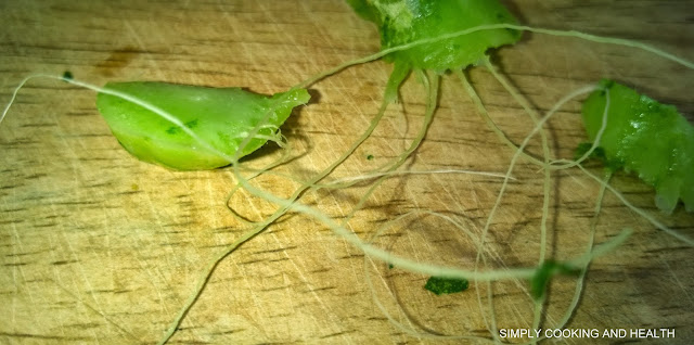 Fibre removed from snake gourd