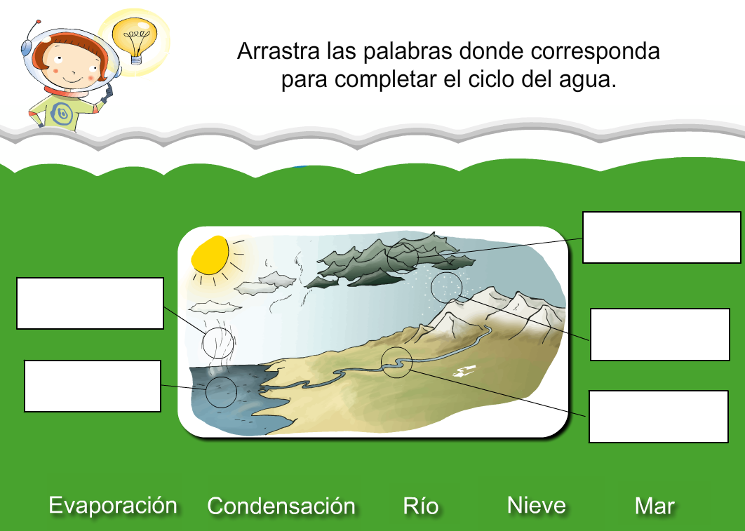 http://www.primerodecarlos.com/SEGUNDO_PRIMARIA/julio/activi_bromera/natura2/8/Natura2-U8-A2_cas.swf