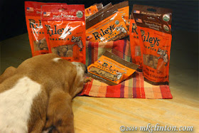 Bentley and his Riley's treats