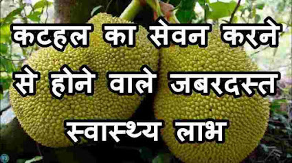 12 Health Benefits of Jack fruit in Hindi- by anmolhealthblog