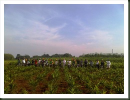 IMG00821-20101127-0836